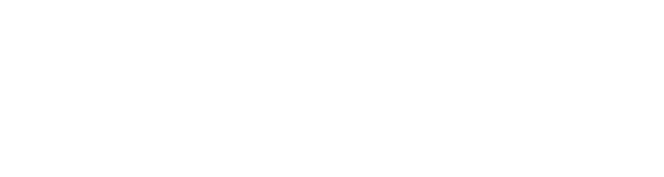 Grief Survivor
